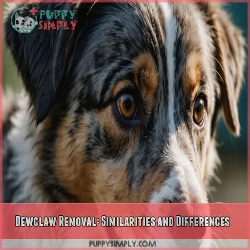 Dewclaw Removal: Similarities and Differences