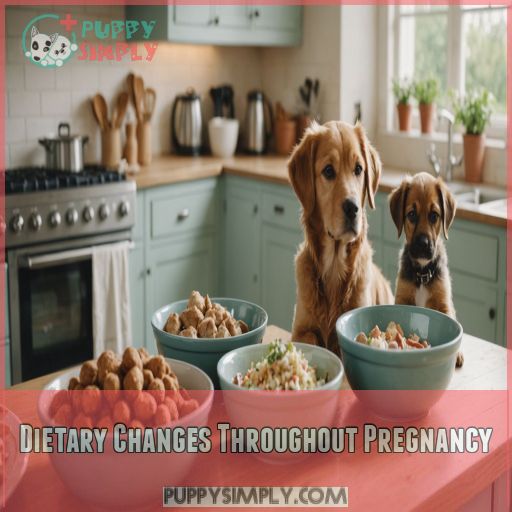 Dietary Changes Throughout Pregnancy