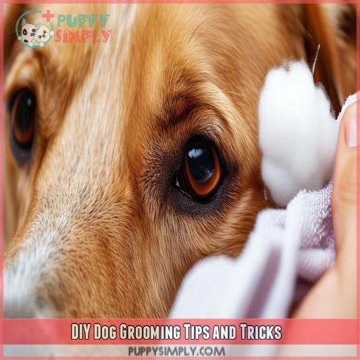 DIY Dog Grooming Tips and Tricks