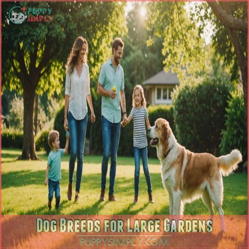 Dog Breeds for Large Gardens Dog Breeds for Large Gardens