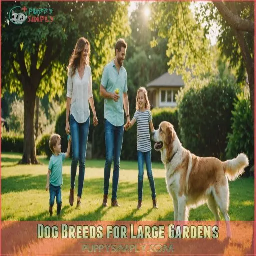 Dog Breeds for Large Gardens