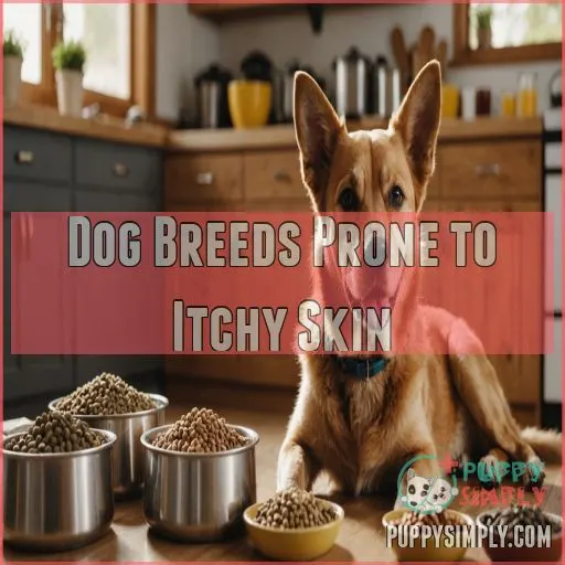 Dog Breeds Prone to Itchy Skin