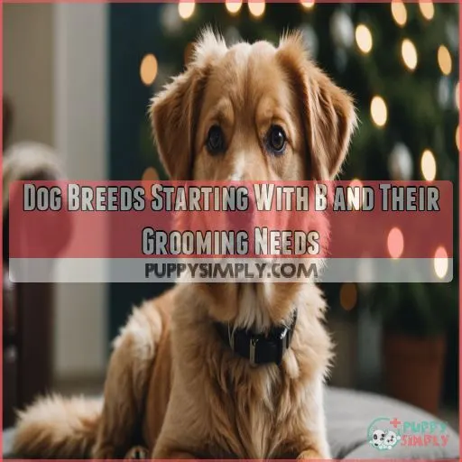 Dog Breeds Starting With B and Their Grooming Needs