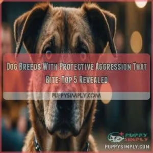 Dog breeds with protective aggression that bite