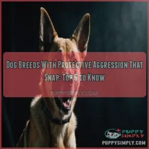 Dog breeds with protective aggression that snap