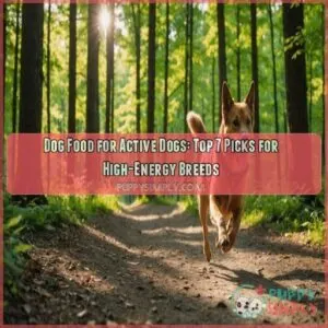 dog food for active dogs