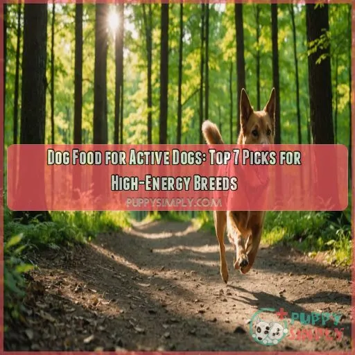 dog food for active dogs