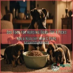 dog food for nursing dogs