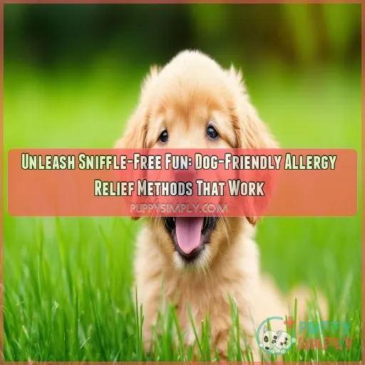 Dog friendly allergy relief methods