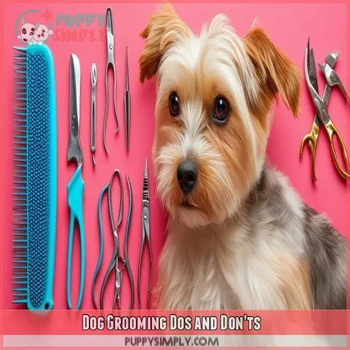 Dog Grooming Dos and Don