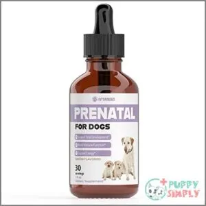 Dog Prenatal Vitamins | Prenatal