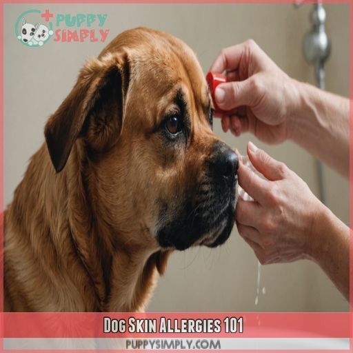 Dog Skin Allergies 101 Dog Skin Allergies 101