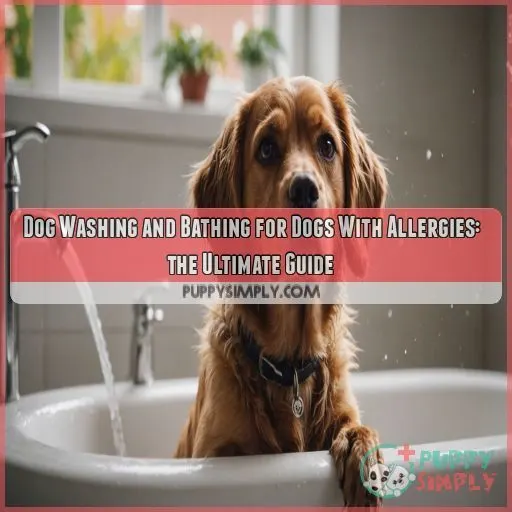 Dog washing and bathing for dogs with allergies