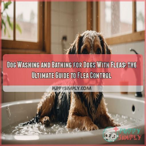 Dog washing and bathing for dogs with fleas Dog washing and bathing for dogs with fleas