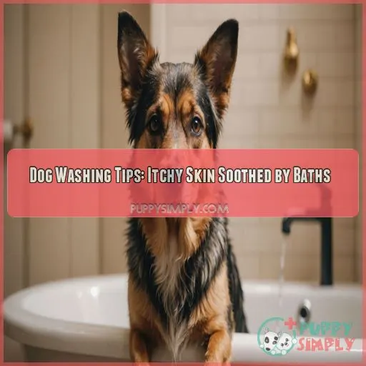 Dog washing and bathing for dogs with irritated skin