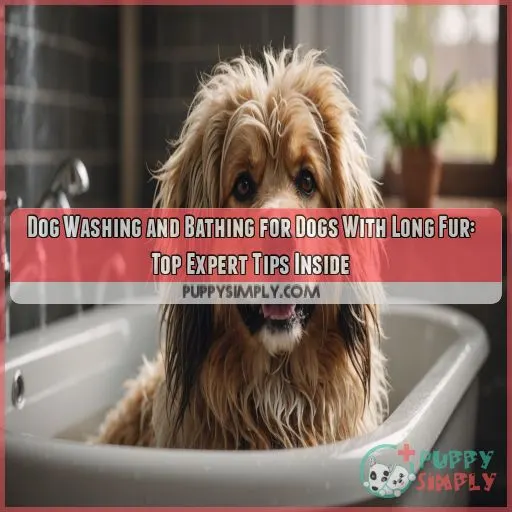 Dog washing and bathing for dogs with long fur