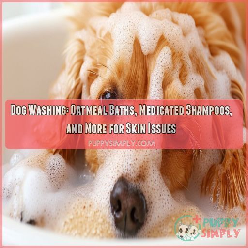 Dog washing and bathing for dogs with skin conditions Dog washing and bathing for dogs with skin conditions