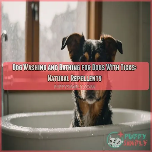 Dog washing and bathing for dogs with ticks