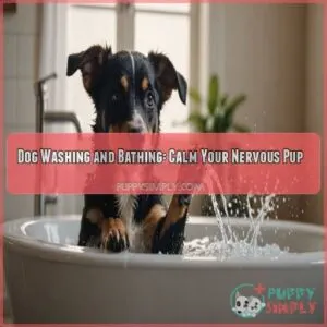 Dog washing and bathing for nervous dogs