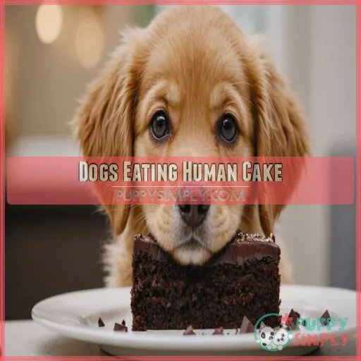 Dogs Eating Human Cake