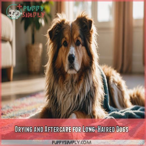 Drying and Aftercare for Long-Haired Dogs Drying and Aftercare for Long-Haired Dogs