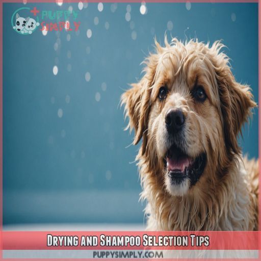 Drying and Shampoo Selection Tips