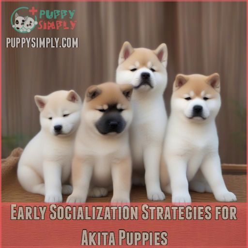 Early Socialization Strategies for Akita Puppies