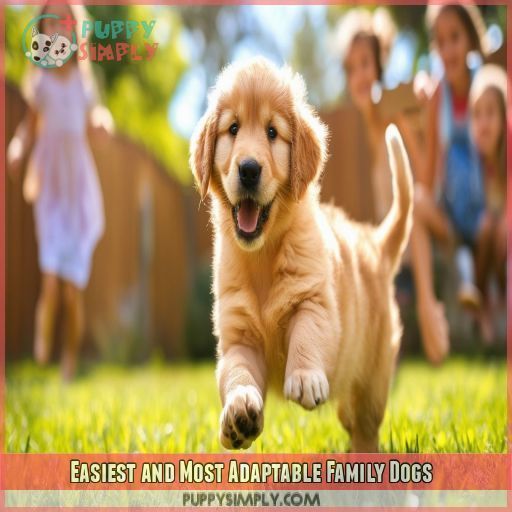 Easiest and Most Adaptable Family Dogs