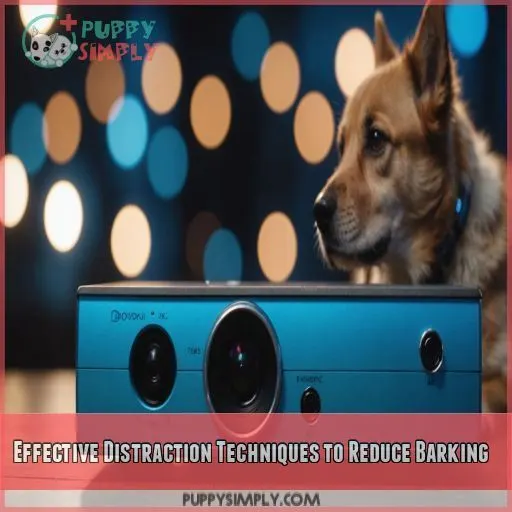 Effective Distraction Techniques to Reduce Barking