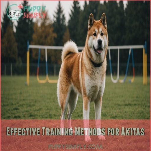 Effective Training Methods for Akitas Effective Training Methods for Akitas