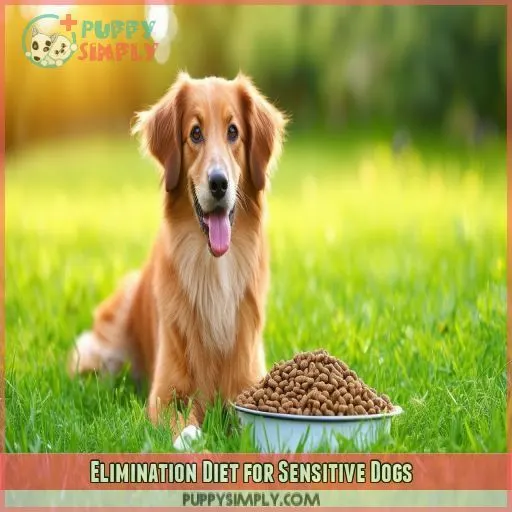 Elimination Diet for Sensitive Dogs