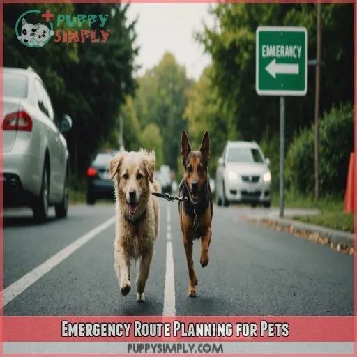 Emergency Route Planning for Pets