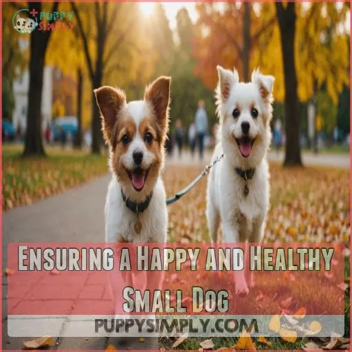 Ensuring a Happy and Healthy Small Dog