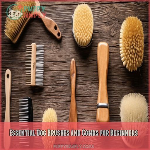Essential Dog Brushes and Combs for Beginners Essential Dog Brushes and Combs for Beginners