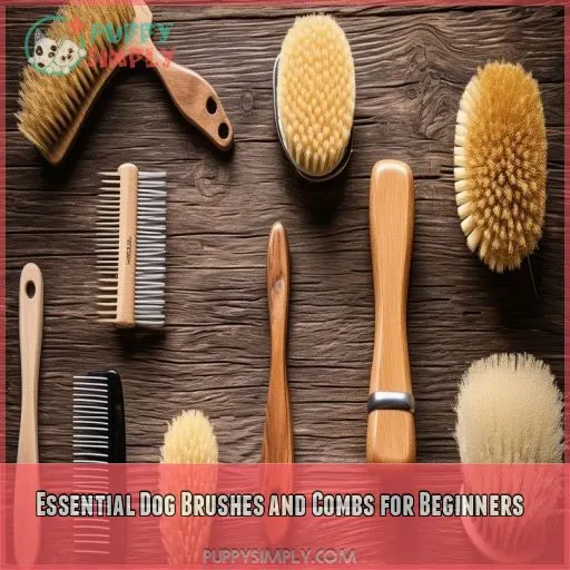 Essential Dog Brushes and Combs for Beginners