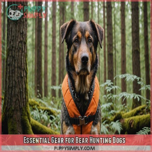 Essential Gear for Bear Hunting Dogs