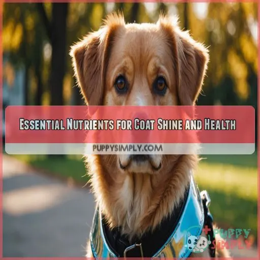 Essential Nutrients for Coat Shine and Health