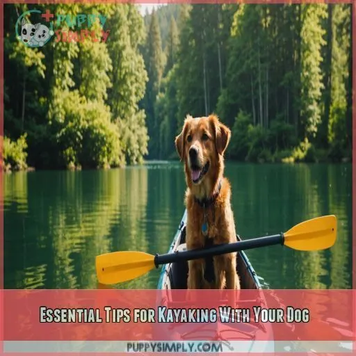 Essential Tips for Kayaking With Your Dog