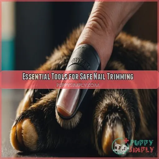 Essential Tools for Safe Nail Trimming