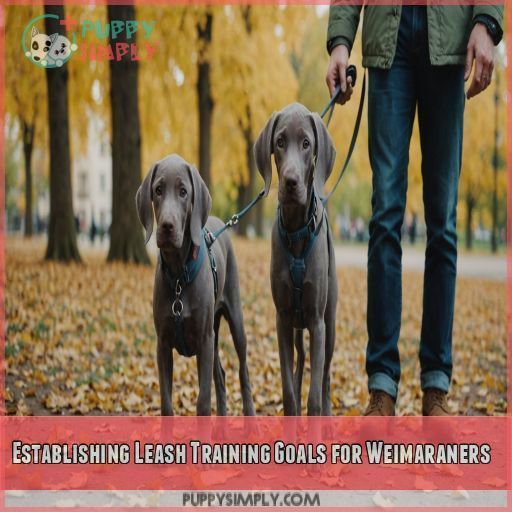 Establishing Leash Training Goals for Weimaraners