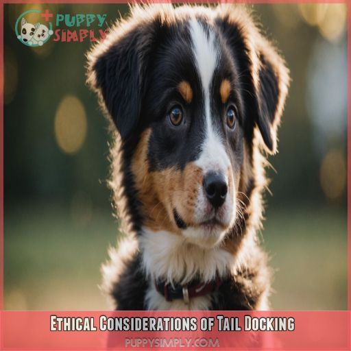 Ethical Considerations of Tail Docking