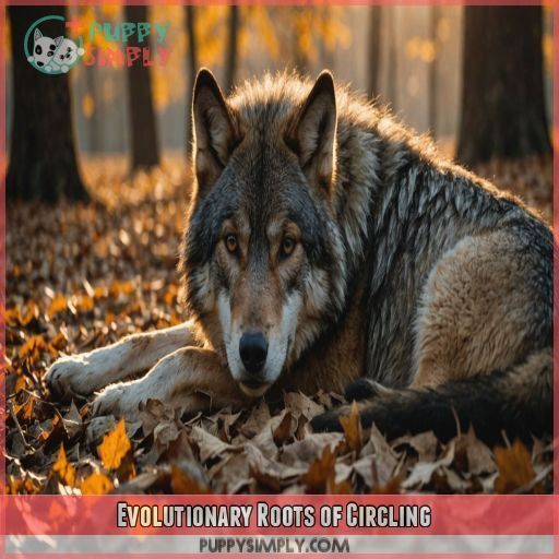 Evolutionary Roots of Circling Evolutionary Roots of Circling