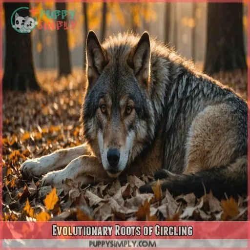 Evolutionary Roots of Circling