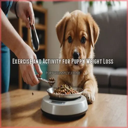 Exercise and Activity for Puppy Weight Loss