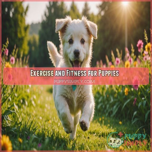 Exercise and Fitness for Puppies