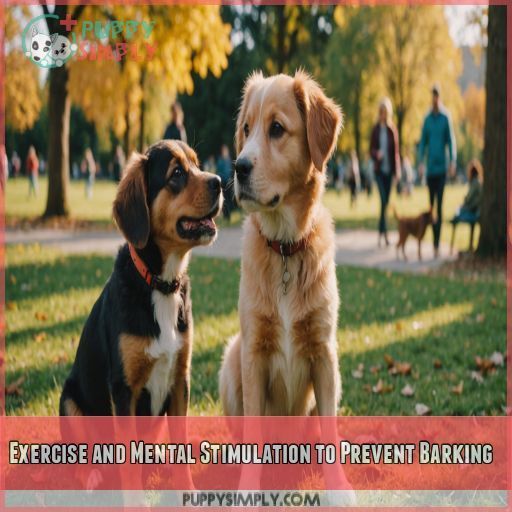 Exercise and Mental Stimulation to Prevent Barking