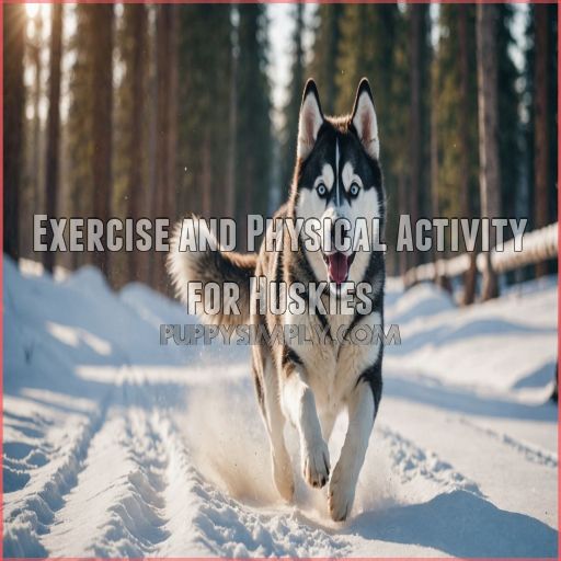 Exercise and Physical Activity for Huskies