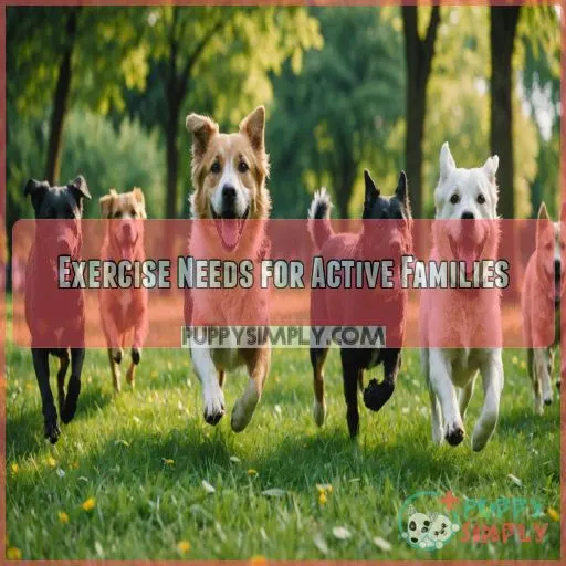 Exercise Needs for Active Families