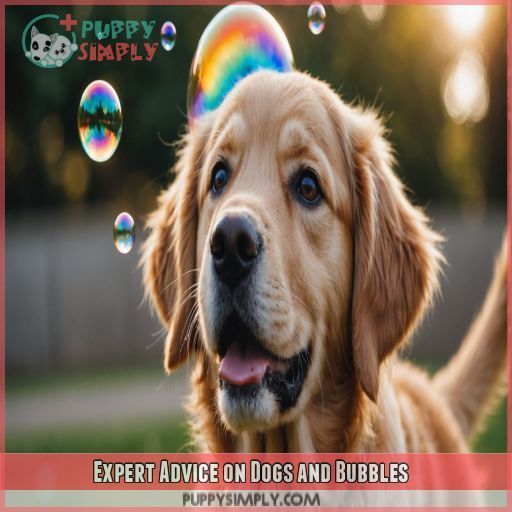 Expert Advice on Dogs and Bubbles