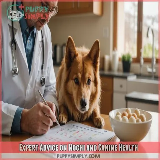 Expert Advice on Mochi and Canine Health